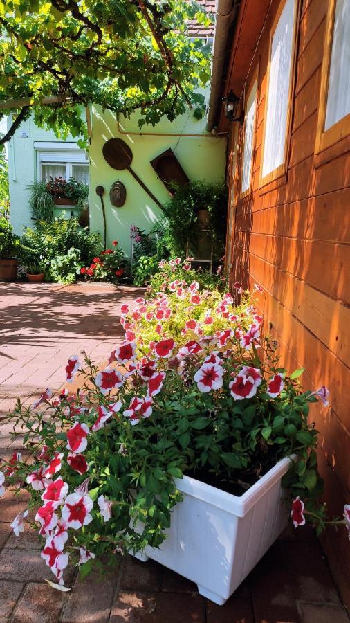 Opusztaszeri Mozes Vendeghaz Otel Dış mekan fotoğraf