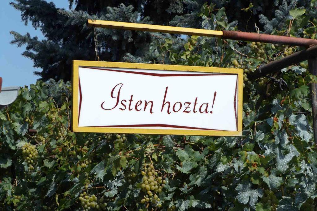 Opusztaszeri Mozes Vendeghaz Otel Dış mekan fotoğraf